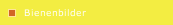Bienenbilder
